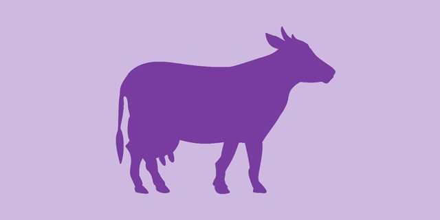 چگونه برندمان را به یک گاو بنفش تبدیل کنیم؟
